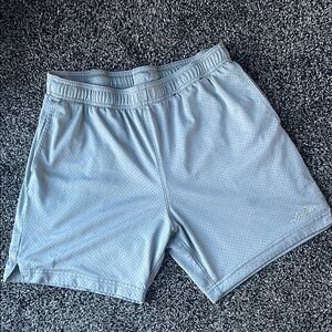 Hollister Gray Performance Shorts
